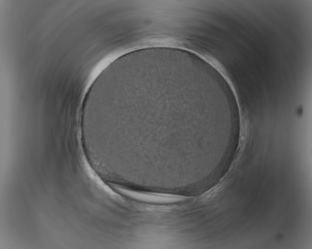 X0000116121389200912071336