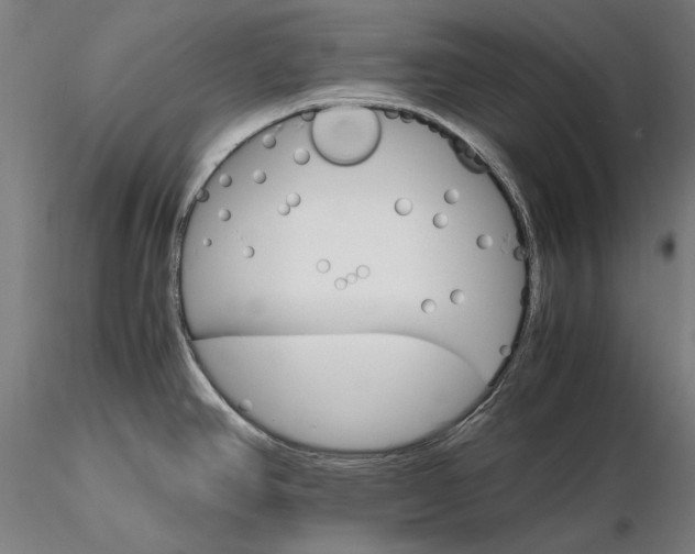 X0000116121390200912071336