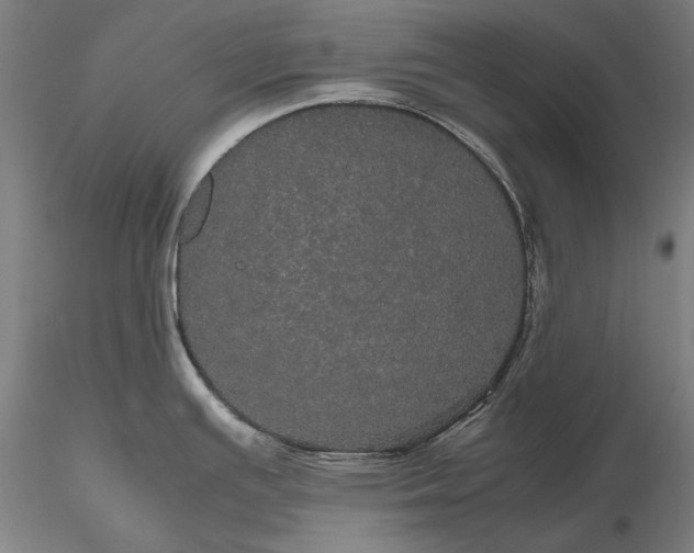 X0000116121391200912071336