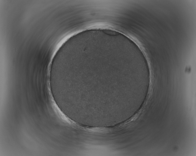 X0000116121392200912071336