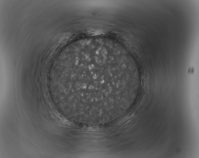 X0000116121393200912071335