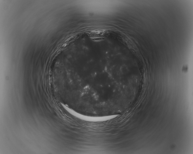 X0000116121394200912071335