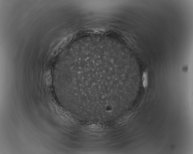 X0000116121395200912071335