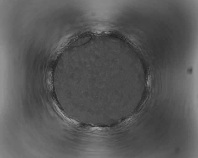 X0000116121396200912071335