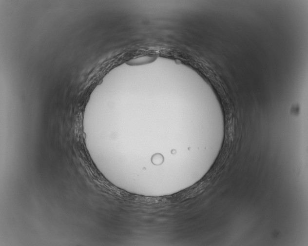 X0000116121397200912071335