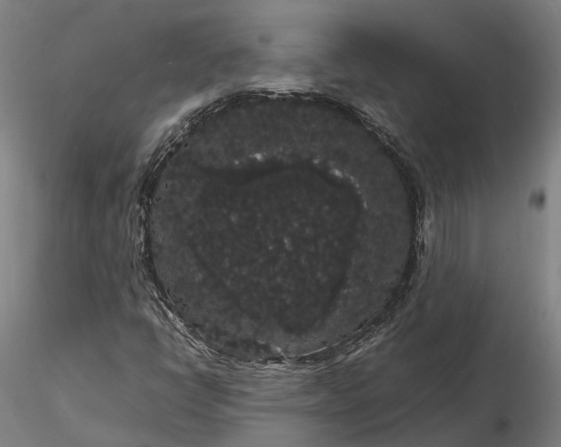 X0000116121398200912071335