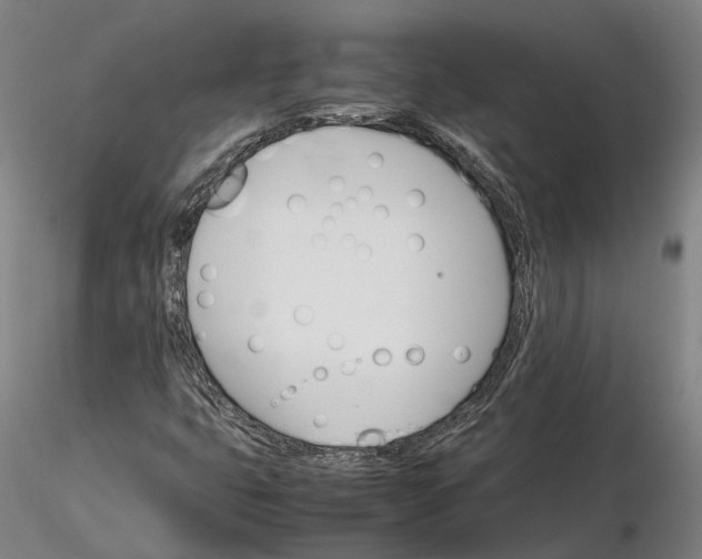 X0000116121399200912071335