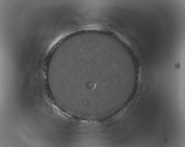 X0000116121400200912071335