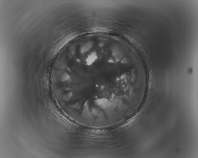 X0000116121401200912071335