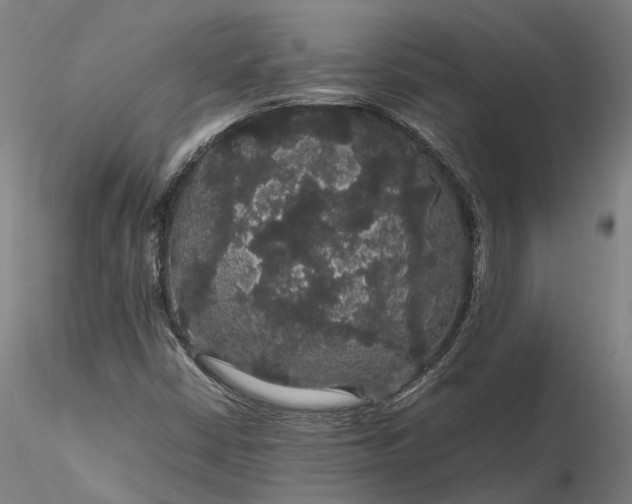 X0000116121402200912071335