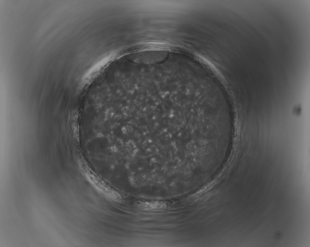 X0000116121403200912071335