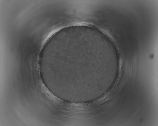 X0000116121404200912071335