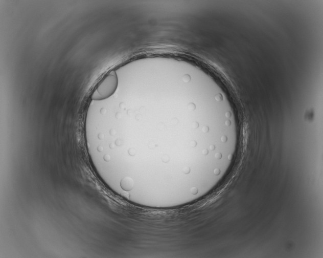 X0000116121405200912071335