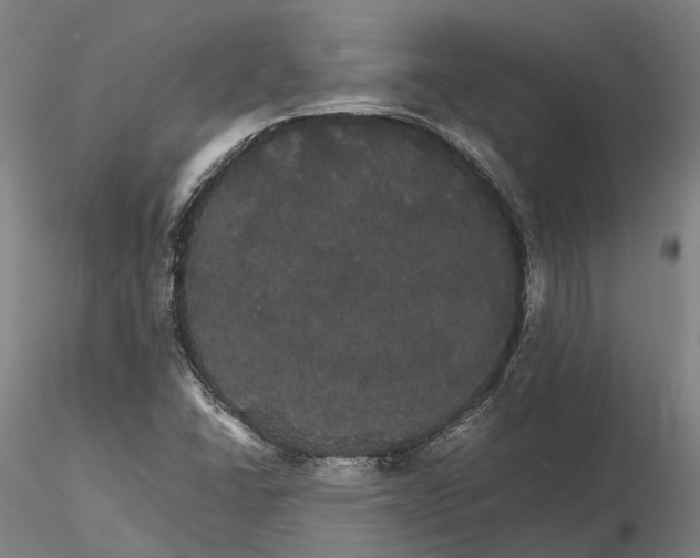 X0000116121406200912071335