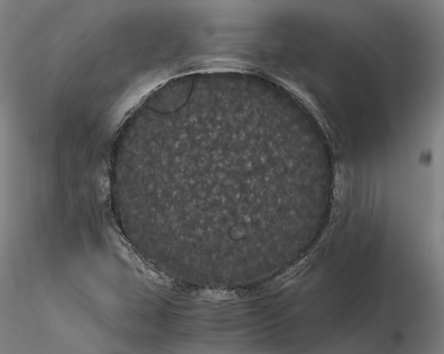 X0000116121407200912071335