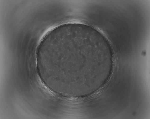 X0000116121408200912071335