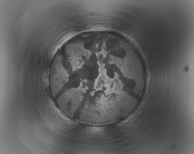 X0000116121409200912071335