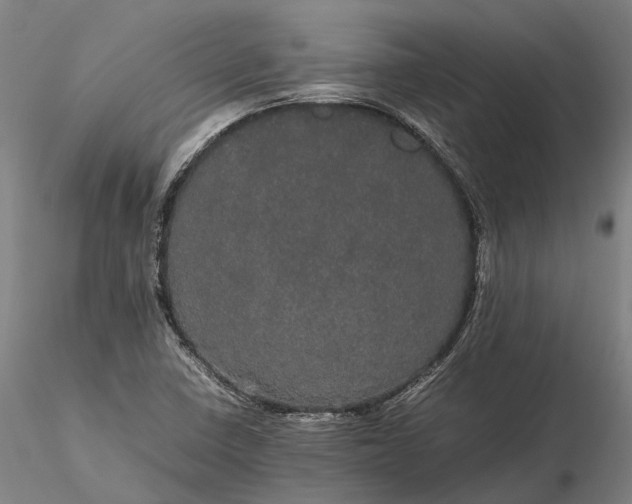 X0000116121410200912071335