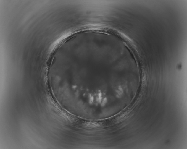 X0000116121411200912071335