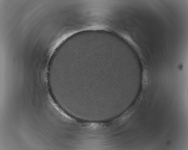 X0000116121412200912071335