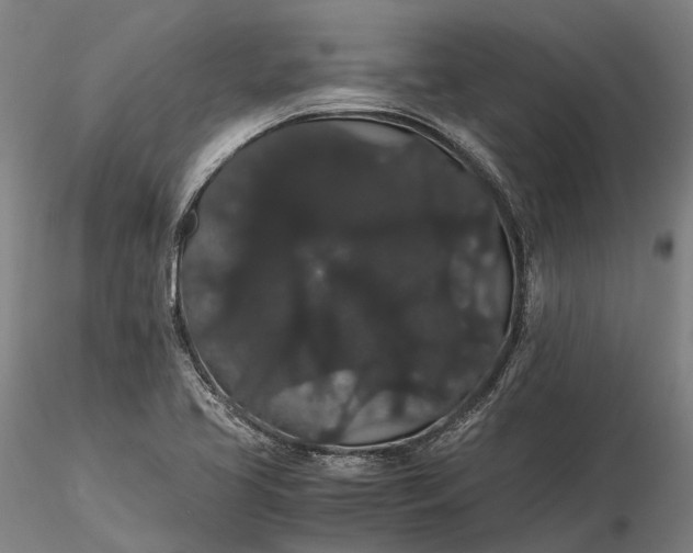 X0000116121413200912071335