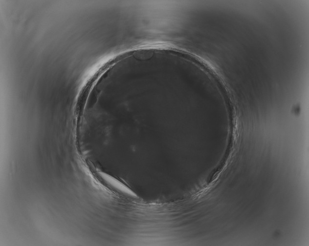 X0000116121414200912071335