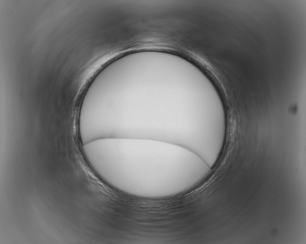 X0000116121415200912071335