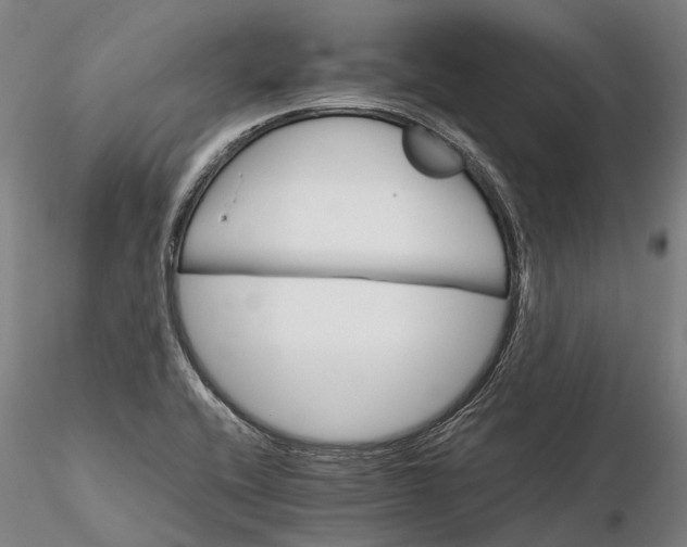 X0000116121416200912071335