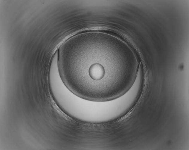 X0000116121417200912071335