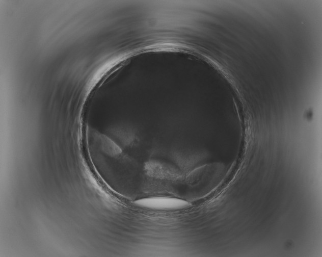 X0000116121418200912071335