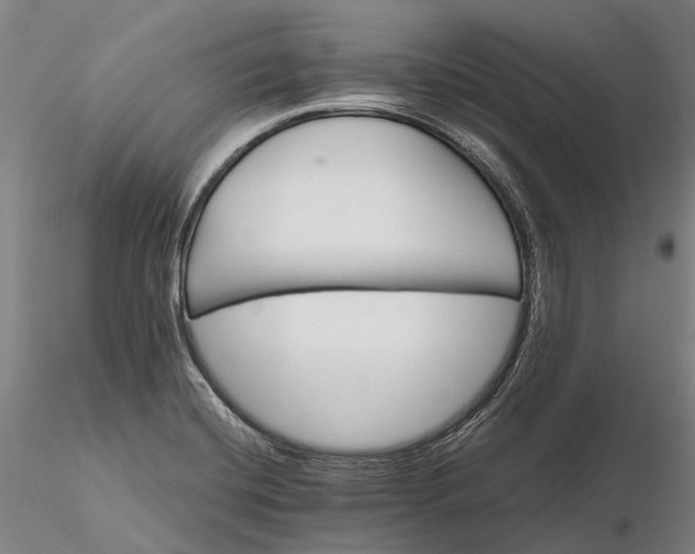 X0000116121420200912071335