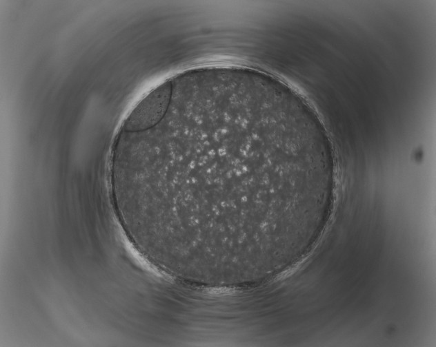 X0000116121421200912071335