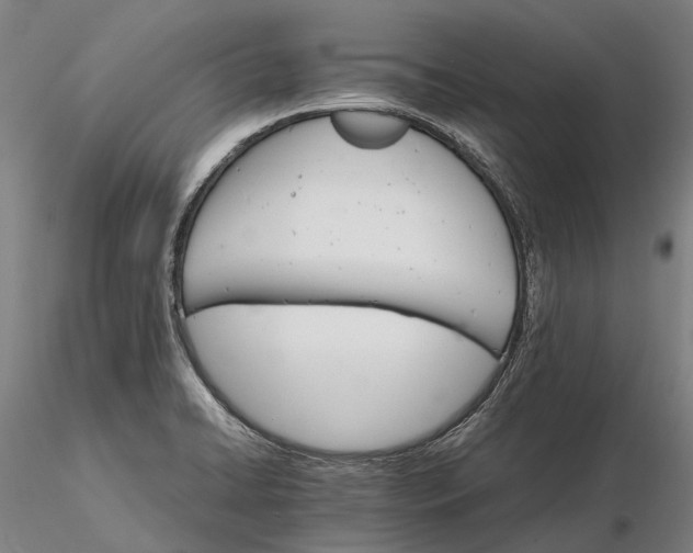 X0000116121422200912071335