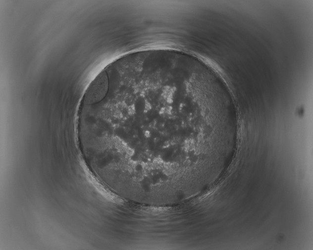 X0000116121423200912071335