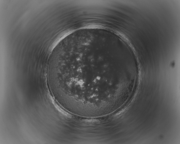 X0000116121425200912071335