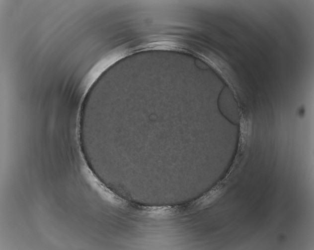 X0000116121426200912071335