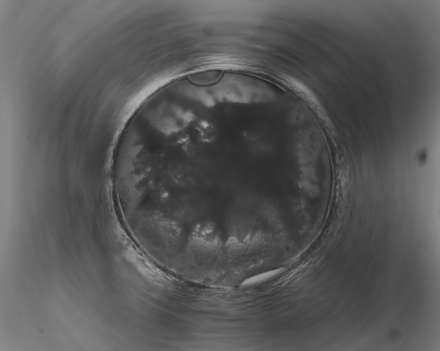 X0000116121427200912071335