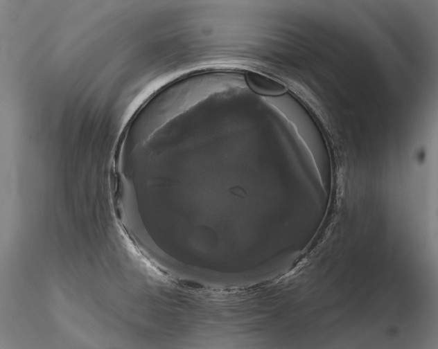 X0000116121428200912071335