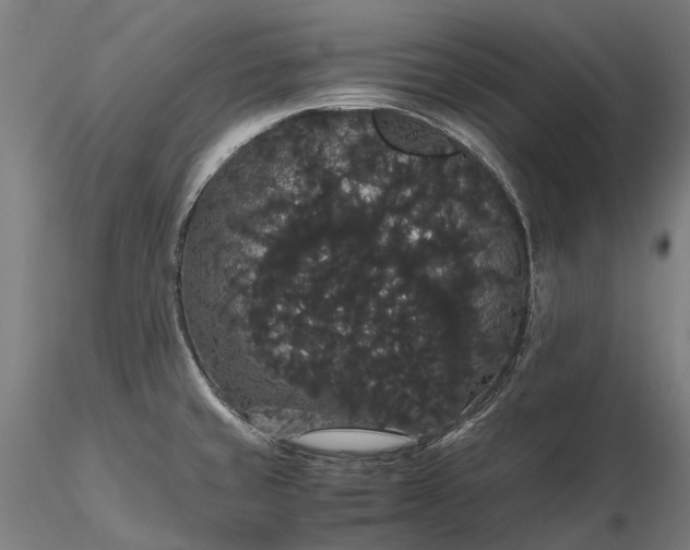 X0000116121429200912071335