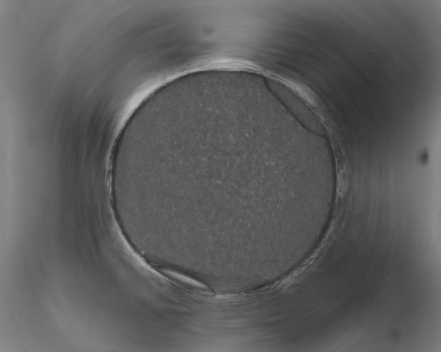 X0000116121430200912071335