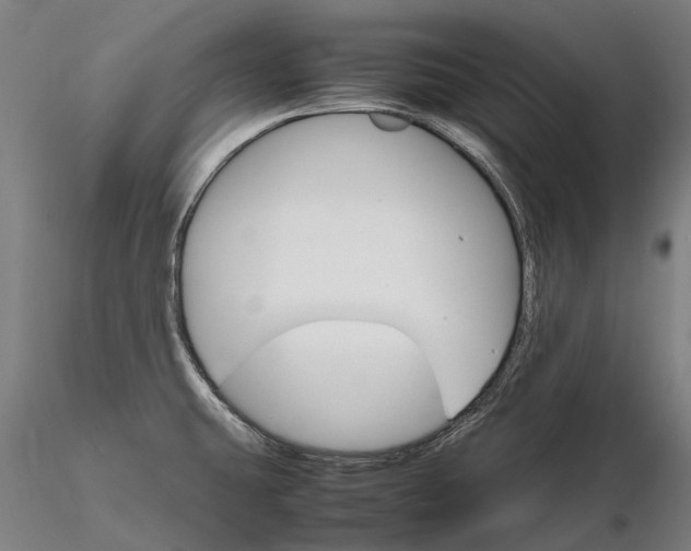 X0000116121431200912071335