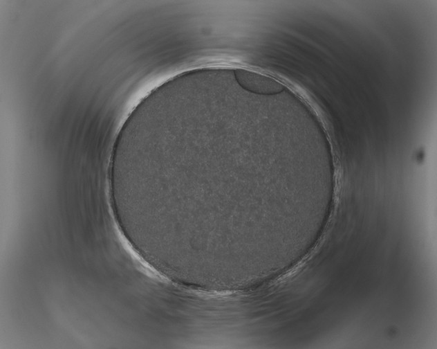 X0000116121432200912071335