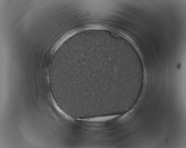 X0000116121433200912071335