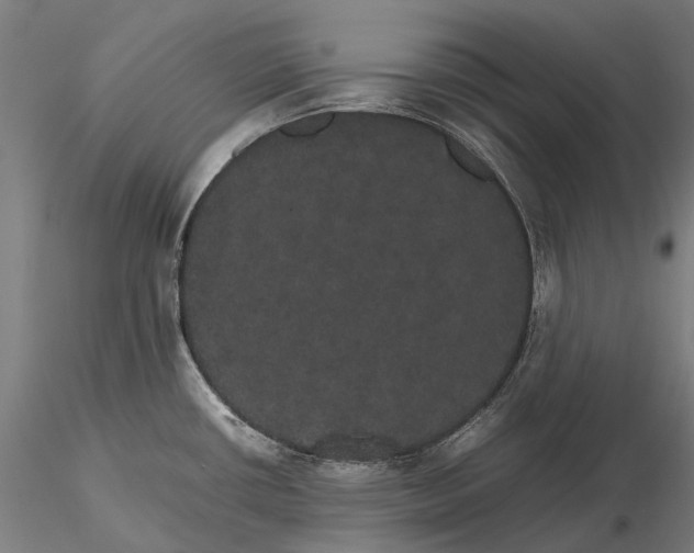 X0000116121434200912071335