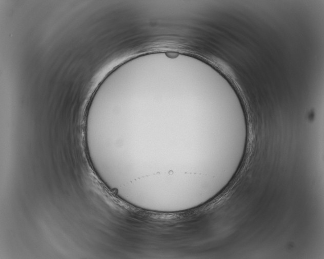 X0000116121435200912071335