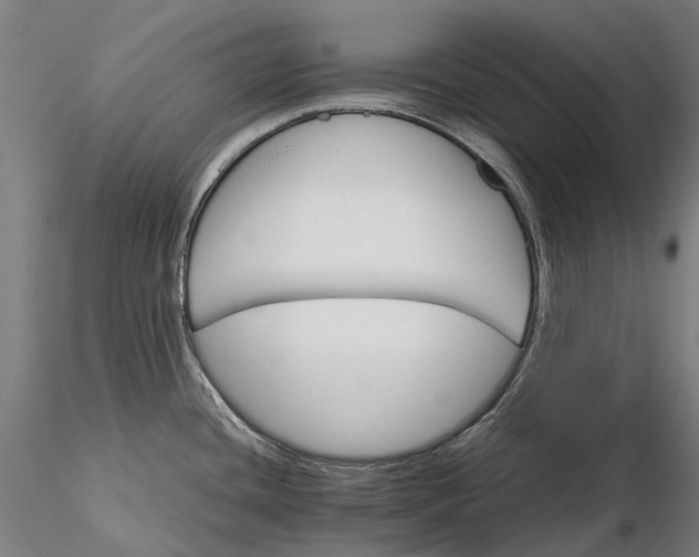 X0000116121436200912071335