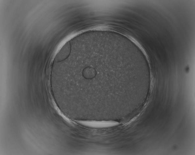 X0000116121437200912071335