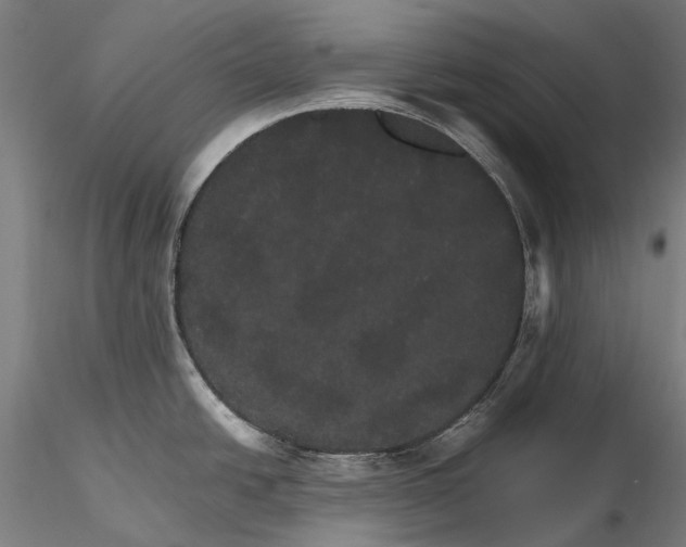 X0000116121438200912071336