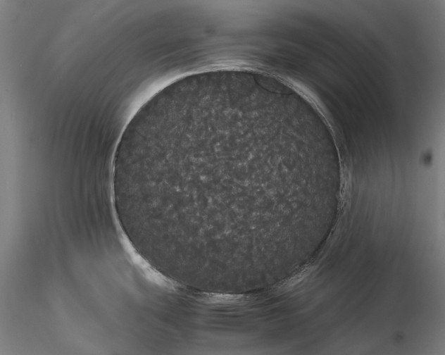 X0000116121439200912071336