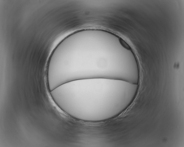 X0000116121440200912071336